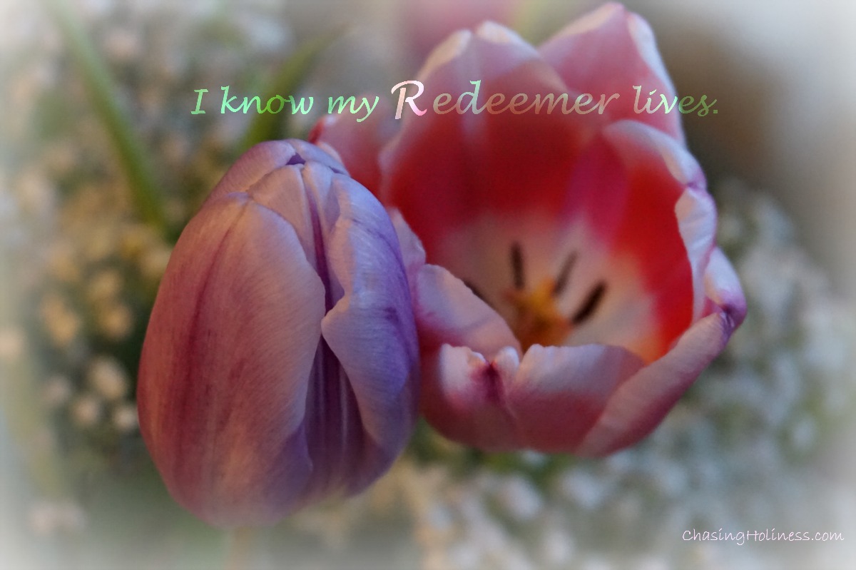 I Know My Redeemer Lives