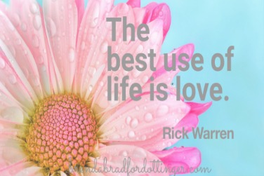 #ChasingCommunity Linkup 58